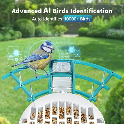 Smart Bird Feeder with Camera – Solar Powered, AI Bird Identifier, 2K Video & Instant Alerts