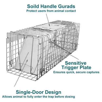 Humane Live Animal Trap Cage – Folding Steel Cage for Possum, Rabbit, Cat, Fox & More (66cm)