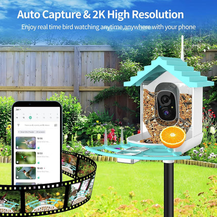 Smart Bird Feeder with Camera – Solar Powered, AI Bird Identifier, 2K Video & Instant Alerts