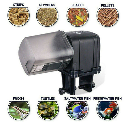 WiFi Automatic Fish Feeder – USB Rechargeable Smart Aquarium Food Dispenser with App & Voice Control