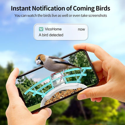 Smart Bird Feeder with Camera – Solar Powered, AI Bird Identifier, 2K Video & Instant Alerts