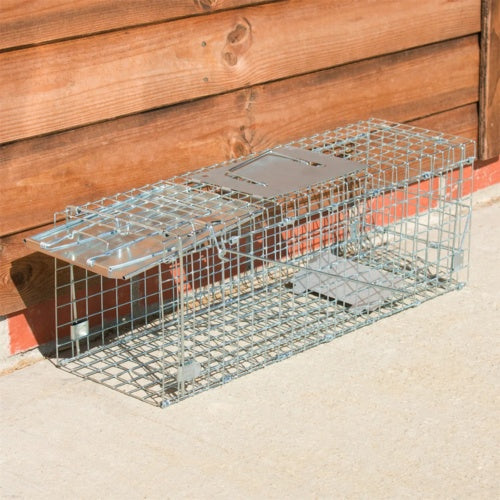 Humane Live Animal Trap Cage – Folding Steel Cage for Possum, Rabbit, Cat, Fox & More (66cm)