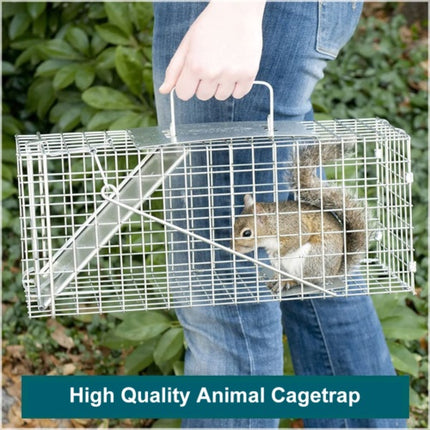 Humane Live Animal Trap Cage – Folding Steel Cage for Possum, Rabbit, Cat, Fox & More (66cm)