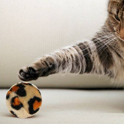 33-Piece Cat & Dog Toy Set – Durable Chew & Play Kit with Cotton Rope, Balls, Teasers & Chew Toys