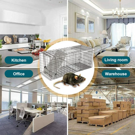 Humane Live Animal Trap Cage – Folding Steel Cage for Possum, Rabbit, Cat, Fox & More (66cm)