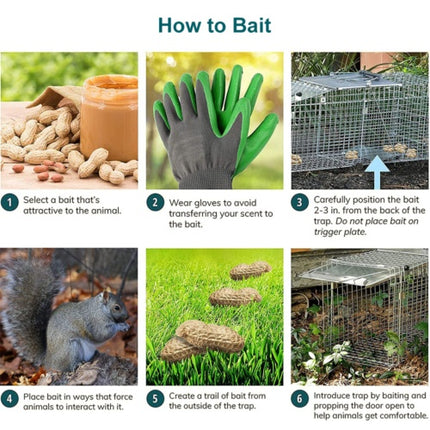 Humane Live Animal Trap Cage – Folding Steel Cage for Possum, Rabbit, Cat, Fox & More (66cm)
