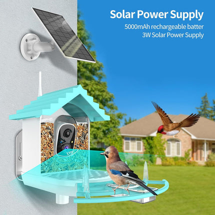 Smart Bird Feeder with Camera – Solar Powered, AI Bird Identifier, 2K Video & Instant Alerts